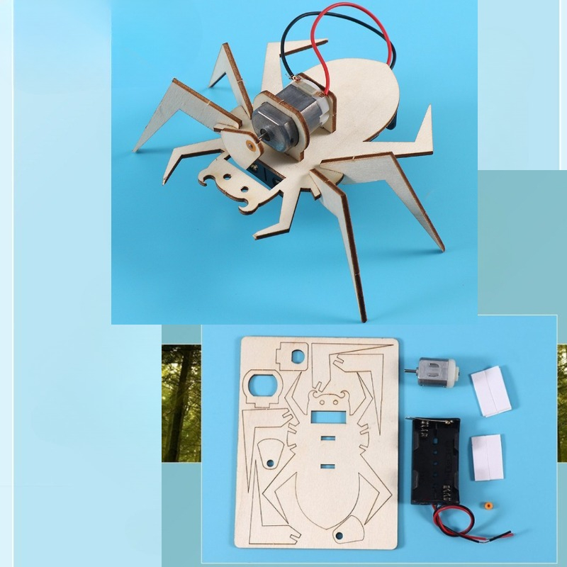 Spider 3D Puzzles STEM Science - đánh giá và giá Art And Craft Science