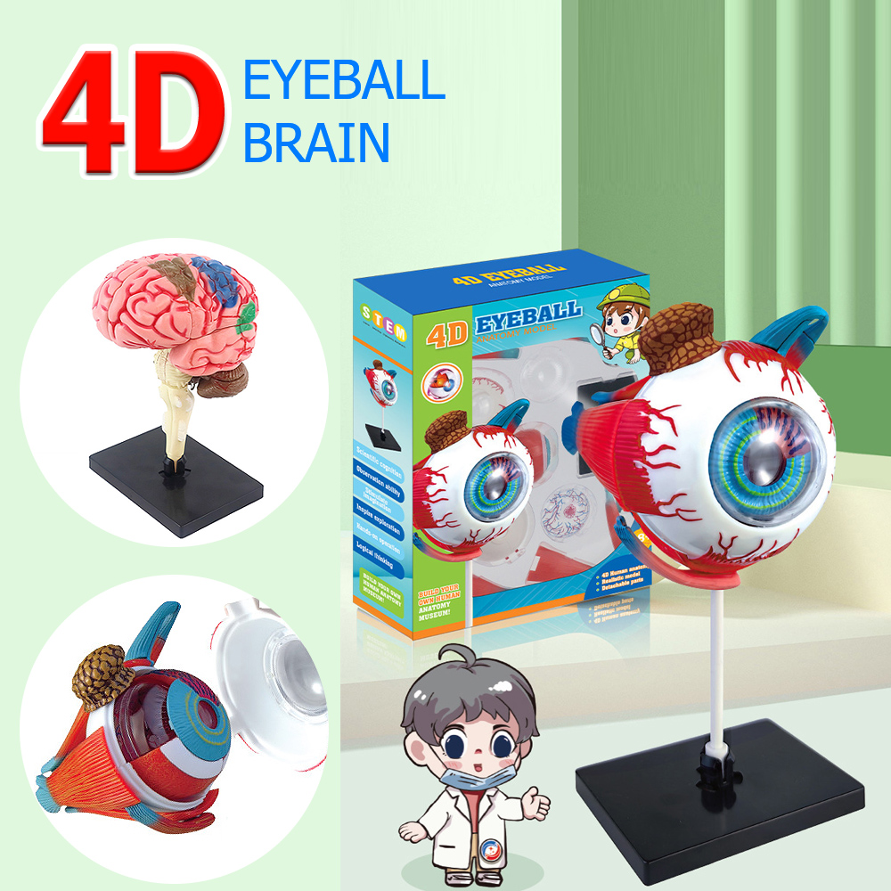 High Quality Arts Crafts Ornam - đánh giá và giá Art And Craft Science