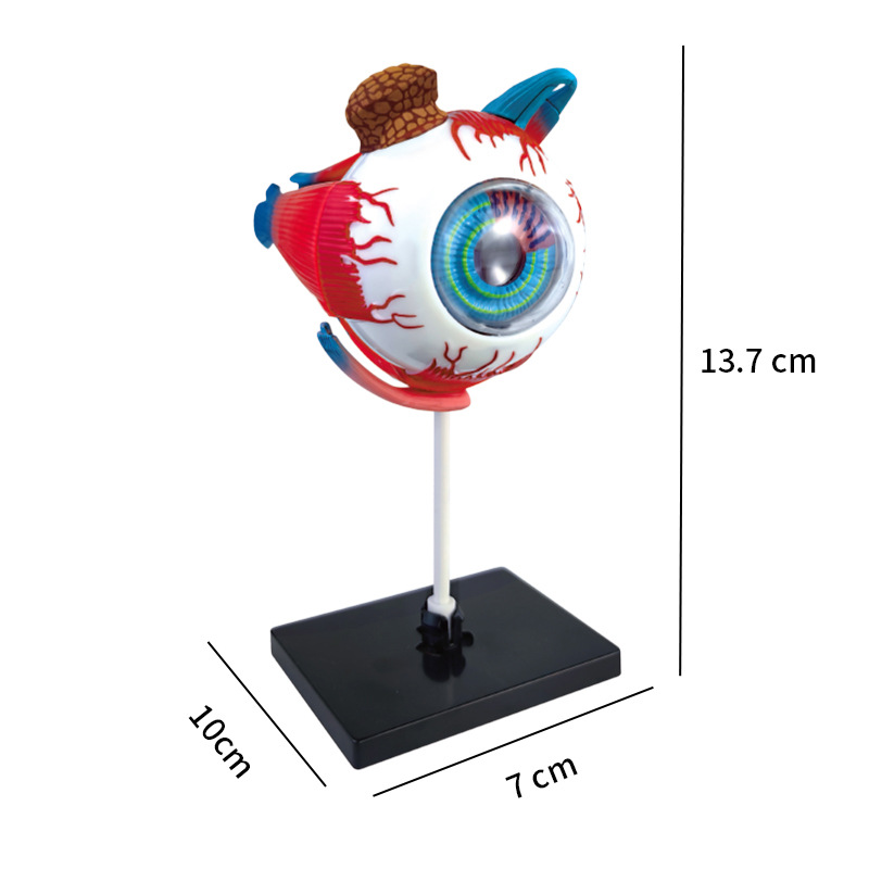 High Quality Arts Crafts Ornam - đánh giá và giá Art And Craft Science