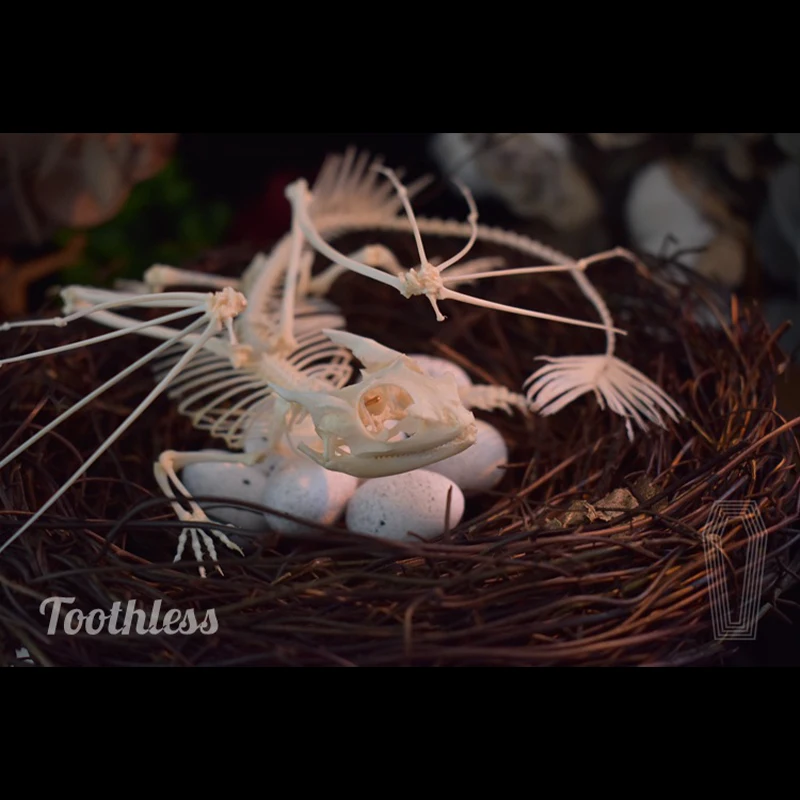 2125 Toothless Dragon Skeleton - đánh giá và giá Art And Craft Science